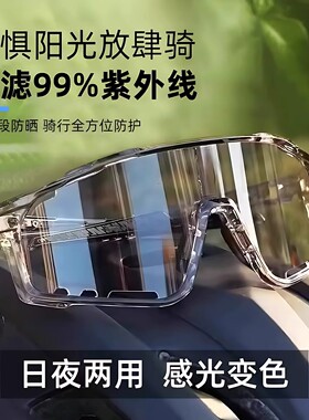 骑行护目镜防风变色日夜两用