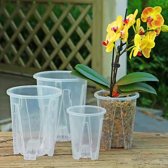 Transparent for Phalaenopsis | Over 4,500 repeat customers
