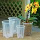 Transparent for Phalaenopsis | Over 4,500 repeat customers