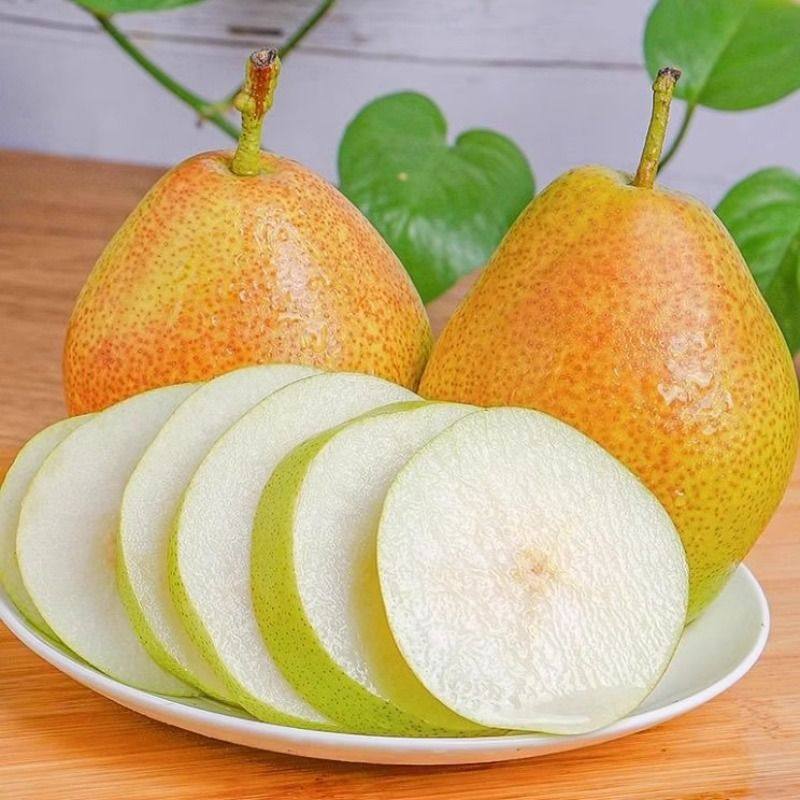 山西红香酥梨10斤当季现摘正宗脆甜梨子酥梨香梨孕妇新鲜水果整箱,淘宝优惠券,粉丝福利购,淘宝优惠卷