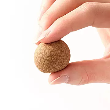 桂圆干龙眼干500g！！[5元优惠券]-寻折猪