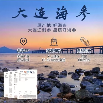 海参即食【大连顺丰发货】500g[1元优惠券]-寻折猪