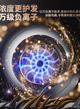 家用发廊专用大功率负离子吹风机大风力速干护发电吹风宿舍高速