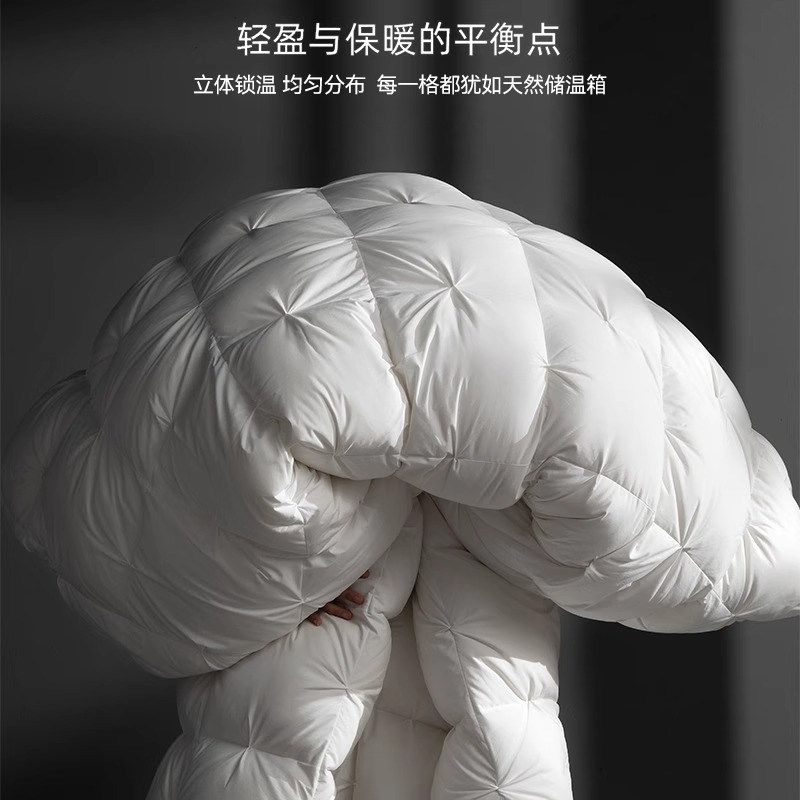 正品鹅绒被冬被羽绒保暖被95白鹅绒加厚全棉酒店春秋被芯被子被套,淘宝优惠券,粉丝福利购,淘宝优惠卷