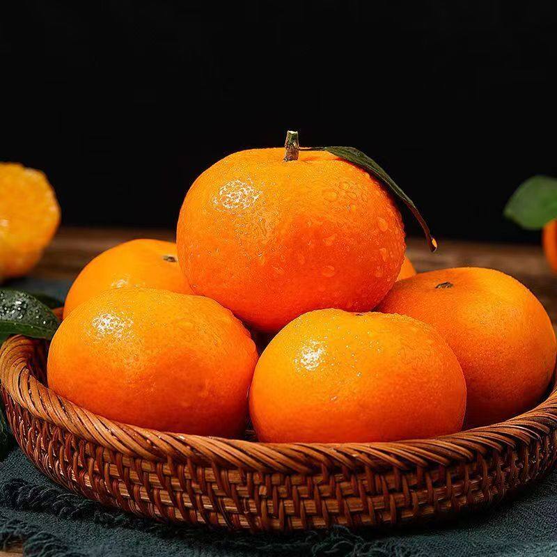 精选！雪杉蜜桔雪杉小蜜橘黄桔子橘子蜜桔柑橘应季新鲜水果包邮,淘宝优惠券,粉丝福利购,淘宝优惠卷