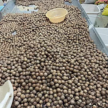 补贴+金币到手14.8！夏威夷果500g[1元优惠券]-寻折猪