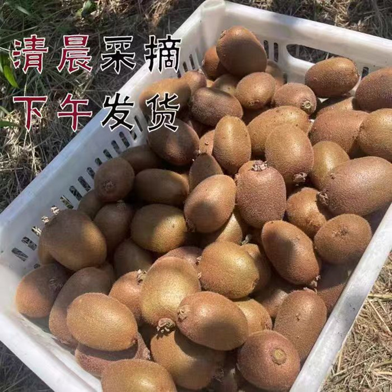 图 3