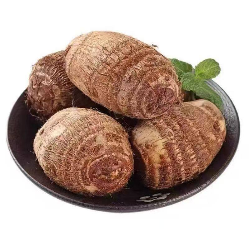 2026新鲜山东牛奶芋头香芋糯芋蔬菜应季蔬果香糯毛芋正宗代餐芋艿 2026新鲜山东牛奶芋头香芋糯芋蔬菜应季蔬果香糯毛芋正宗代餐芋艿