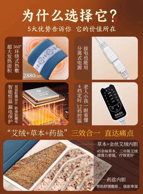 俞兆林盐袋粗海盐包热敷袋艾灸包理疗电加热肩颈腰带全身通用艾草