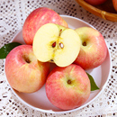 全天【金币14.3】4.5斤山西红富士糖心苹果