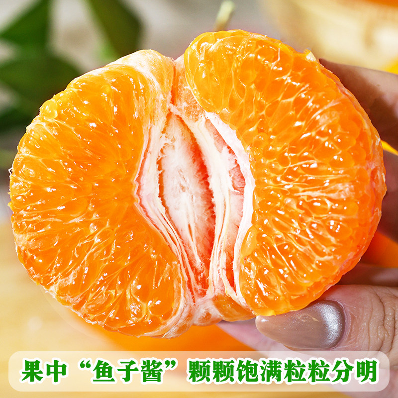 四川春见耙耙柑粑粑柑10斤新鲜水果橘子当季整箱杷杷柑丑桔子包邮,淘宝优惠券,粉丝福利购,淘宝优惠卷