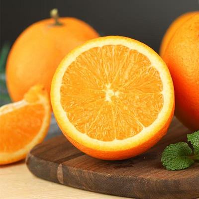 新鲜脐橙橙子甜蜜多汁现采直发榨汁手剥甜橙子天然维c时令水果