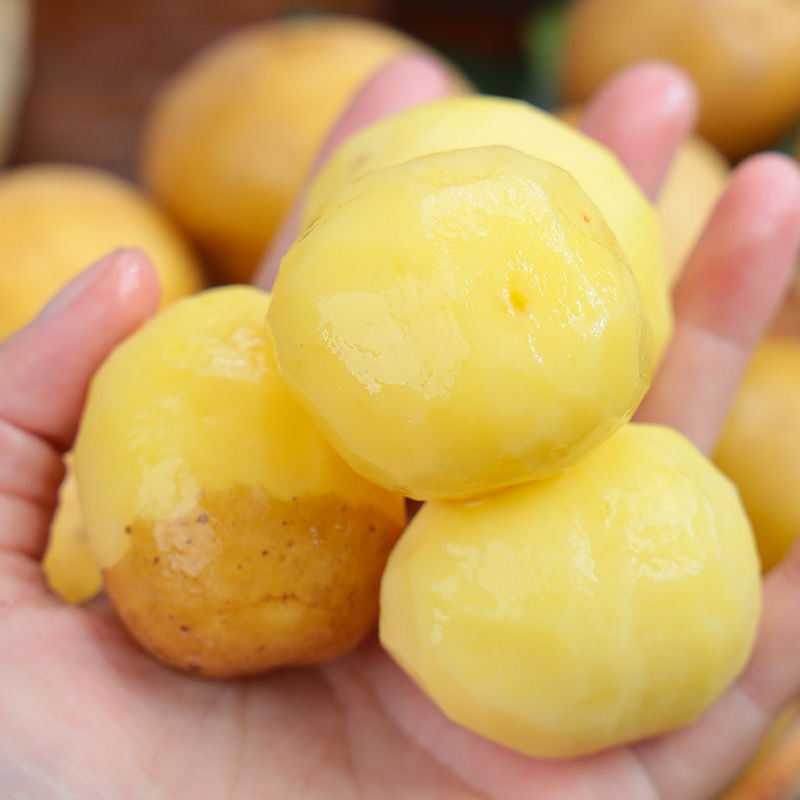 恩施小土豆新鲜现挖大土豆迷你高山洋芋马铃薯蔬菜批发产地 - 图1