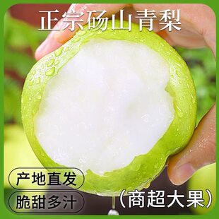 下拉13！现摘砀山青梨整箱4.5斤