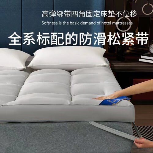 辛希尔顿酒店床垫软垫家用加厚10cm一米八折叠学生宿舍单双人褥子 - 图2