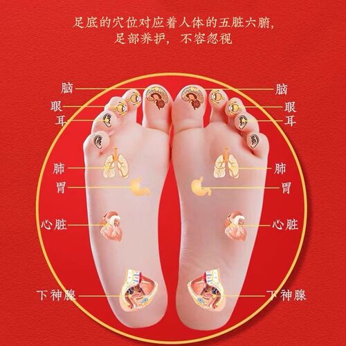 吴茱萸肉桂足贴引火归元足贴引火下行通中焦涌泉贴正品官方旗舰店 - 图2
