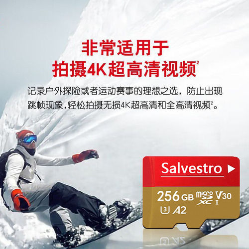 适用于大疆内存卡pocket3Action4/5Pro运动相机tf卡256G高速存储 - 图0