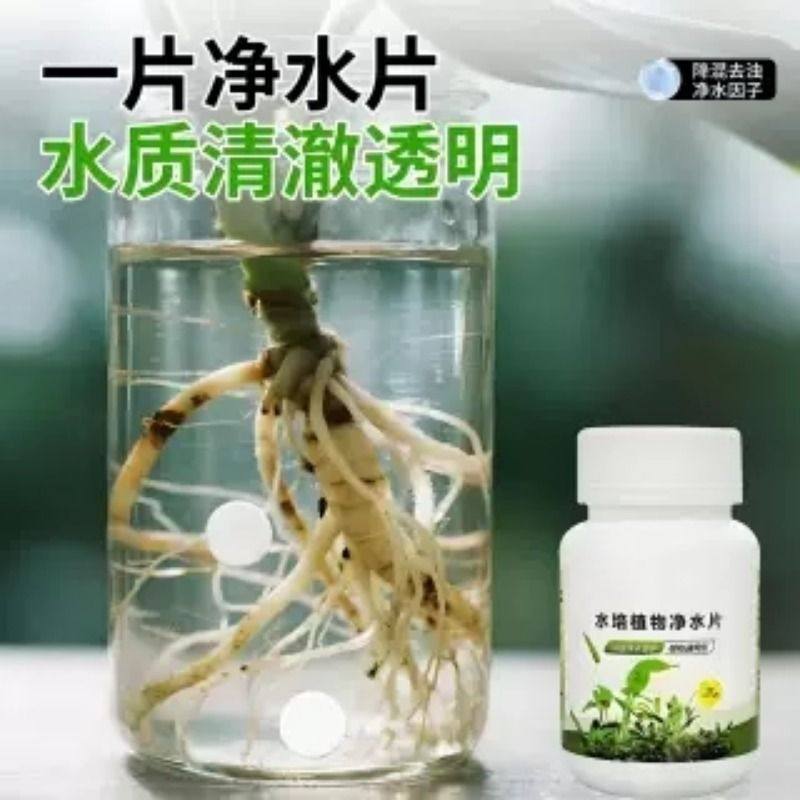 水培植物净水片鲜花花卉保鲜剂不臭水碗莲专用杀菌消毒片净化水质,淘宝优惠券,粉丝福利购,淘宝优惠卷