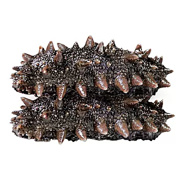 海参即食【大连顺丰发货】500g[1元优惠券]-寻折猪