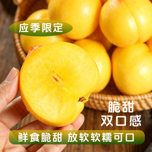 正宗蒙阴新鲜水果应季黄金油桃【净重5斤】