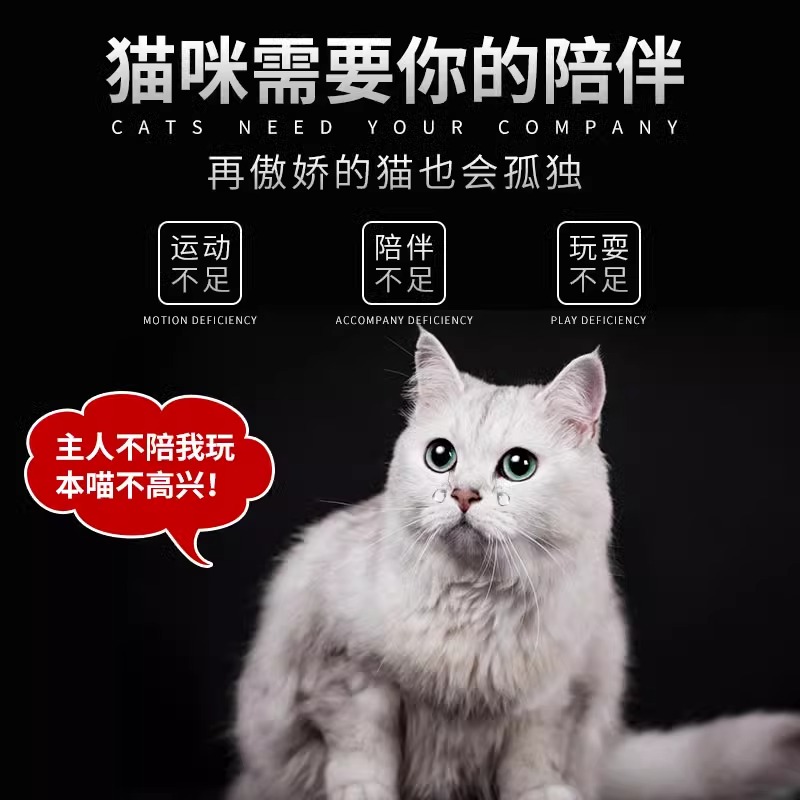 激光笔上课逗猫棒体力仿真老鼠多种图案多模式充电投影仪翻页笔便携玩具usb红外线不伤眼紫外线红光教学照明 - 图0