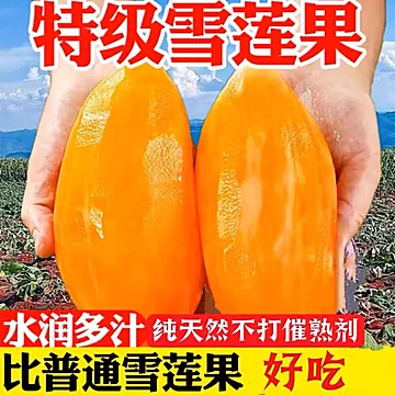 5斤【单果200g+】特级云南天山雪莲果[4元优惠券]-寻折猪