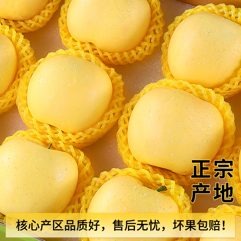 【喜仕鲜】黄金奶油富士苹果正宗山东烟台新鲜水果冰糖心牛奶包邮