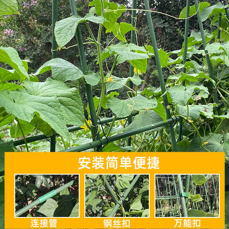 园艺爬藤架包塑钢管支撑杆固定豆角月季黄瓜葡萄架花卉植物花支架 - 图0