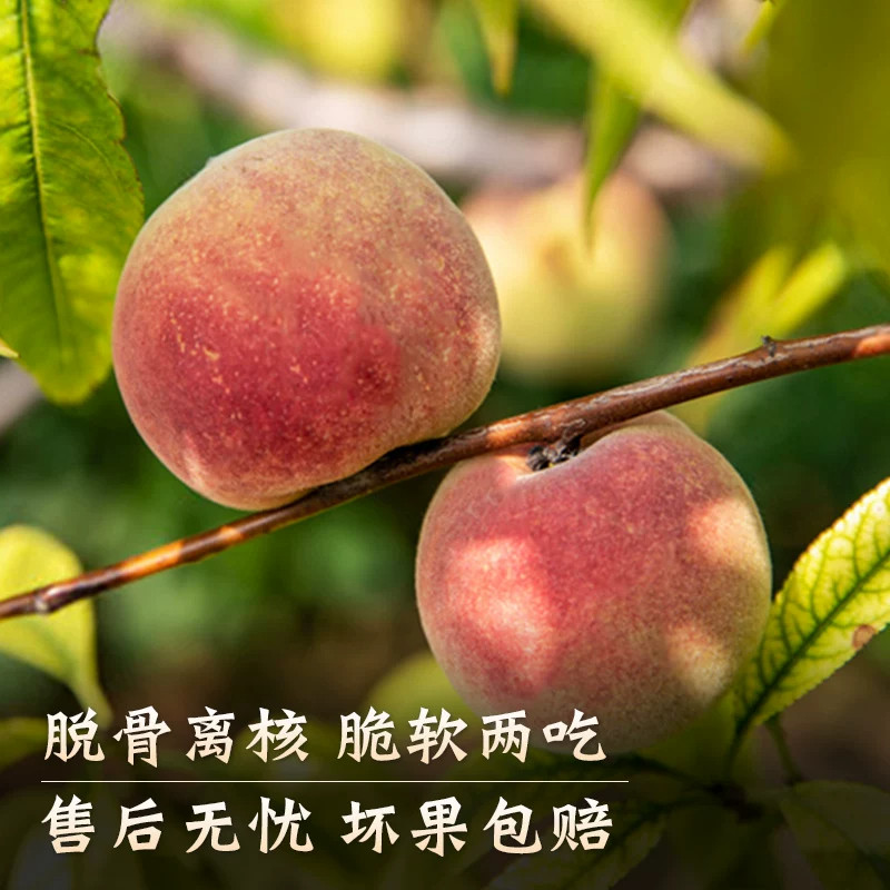 图 4