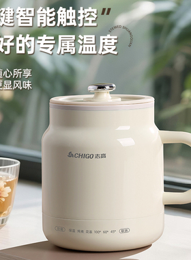 志高养生电炖杯炖煮一体烧水杯