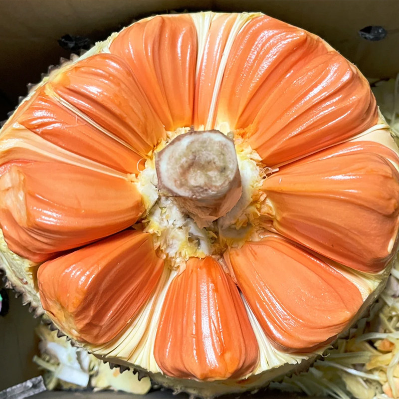 越南进口印尼红红肉菠萝蜜当季新鲜水果顺丰包邮配送香味浓郁脆甜,淘宝优惠券,粉丝福利购,淘宝优惠卷