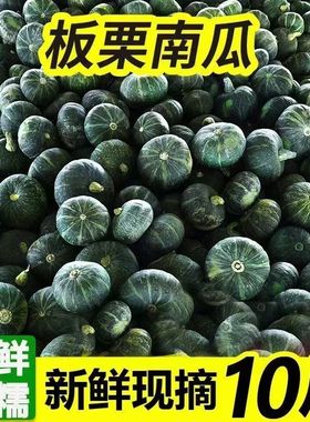 正宗板栗南瓜非贝贝 新鲜现摘栗子味小南瓜软糯香甜粉面粗粮辅食