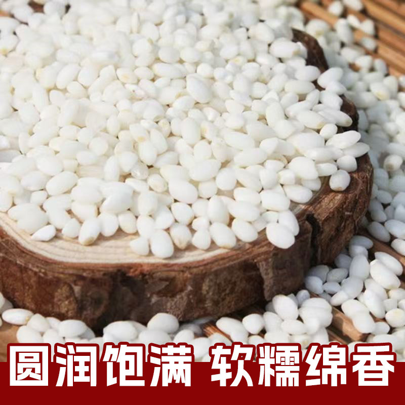 东北白糯米5斤农家自产粘大米江米圆糯米五谷杂粮粽子新货圆粒