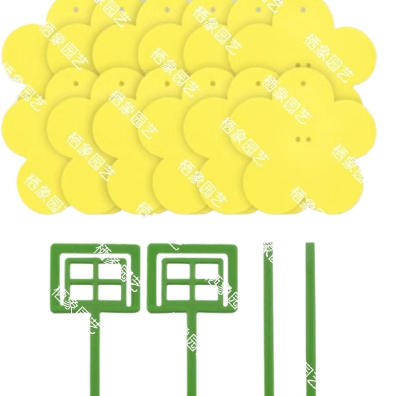 双面飞虫粘虫板盆栽专用小黄板小黑飞花型家用果蝇强效诱捕器园艺 - 图3