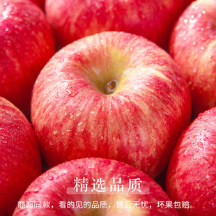 烟台红富士苹果新鲜水果4.5斤（实惠装）
