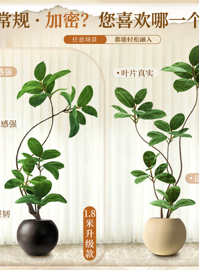 仿真绿植黑金刚橡皮树室内客厅大型落地盆栽高端仿生假树装饰摆件