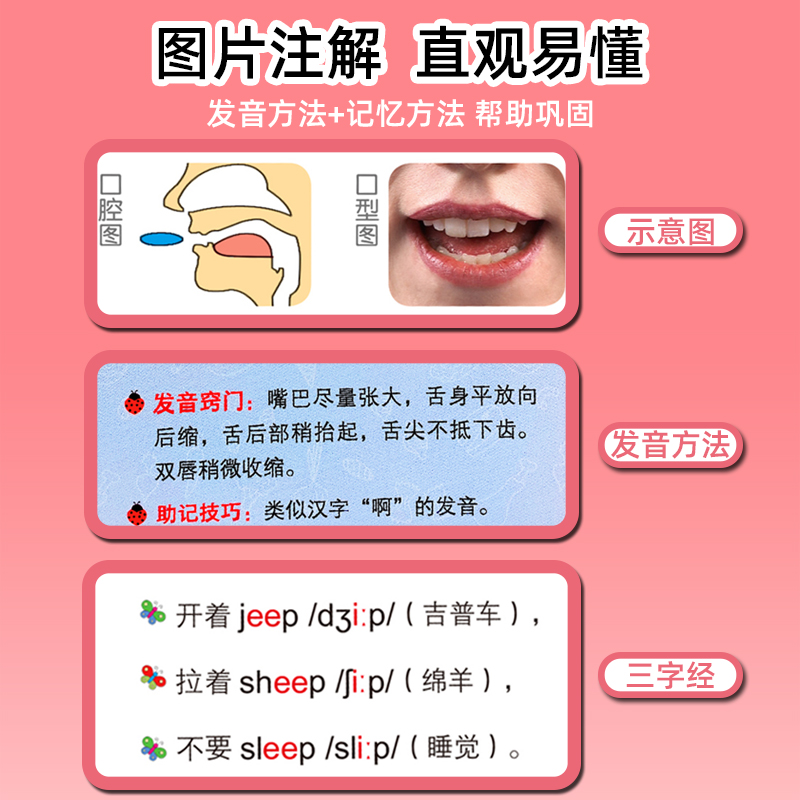 48个英语国际音标卡片和自然拼读小学生教材发音有声挂图单词训练 - 图2