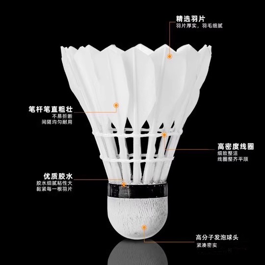 Pelotas de bádminton auténticas y duraderas para entrenamiento en interiores y exteriores de la familia real, paquetes de 6, paquetes de 12, resistentes al viento, estables y no fáciles de romper