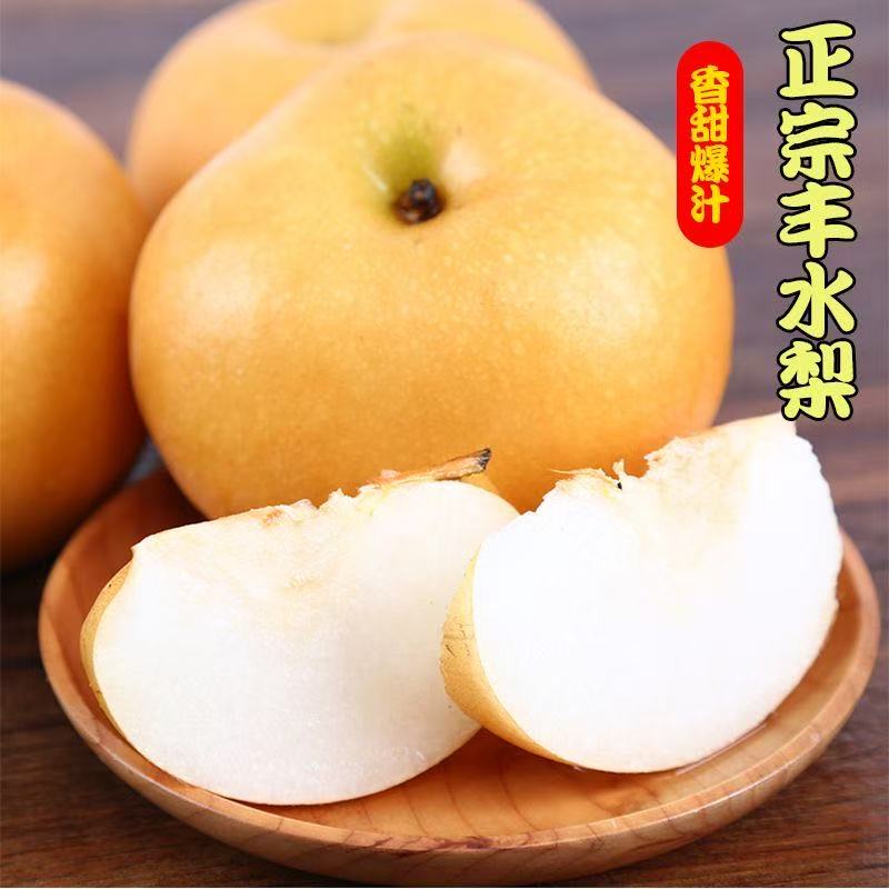 正宗山东丰水梨新鲜梨4.5斤！天降金币13.61