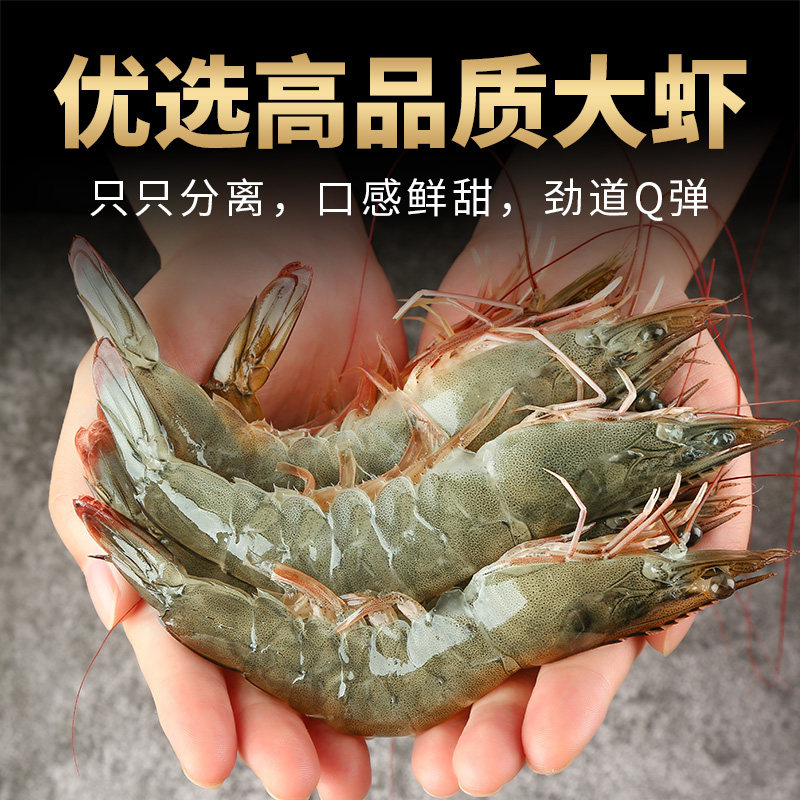 新鲜大虾鲜活青岛大虾冷冻海捕白对虾大号基围虾非青虾海鲜水产