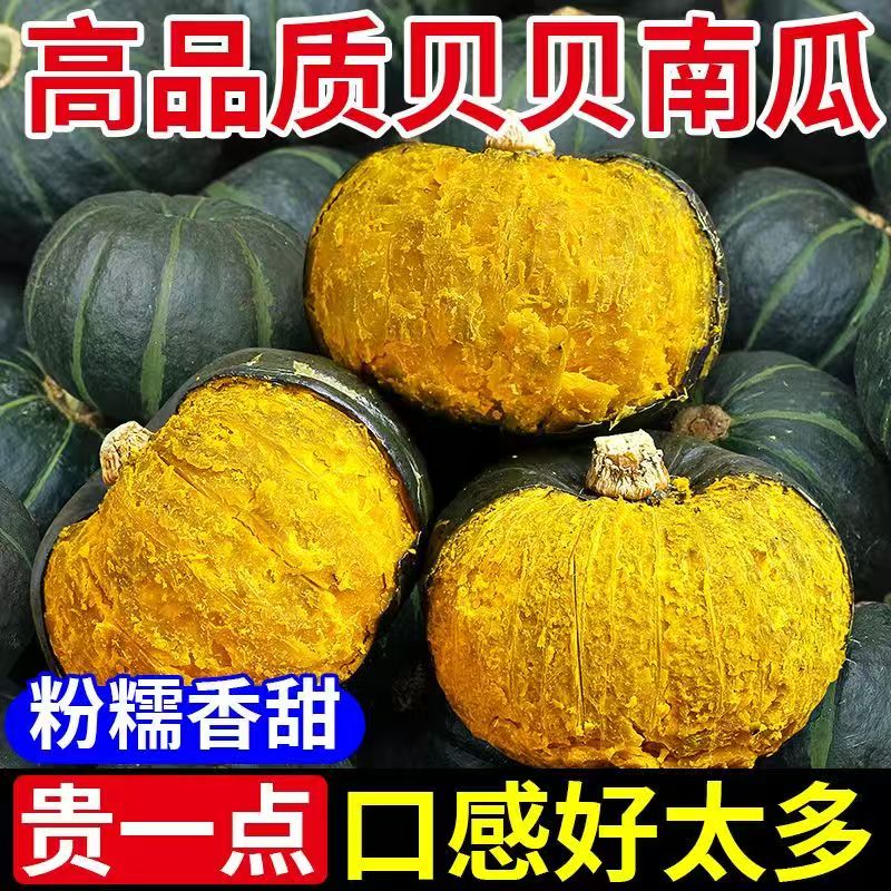 正宗贝贝南瓜新鲜农家自种婴儿辅食现摘板栗味老南瓜小南瓜包邮 婴儿食实拍商品图