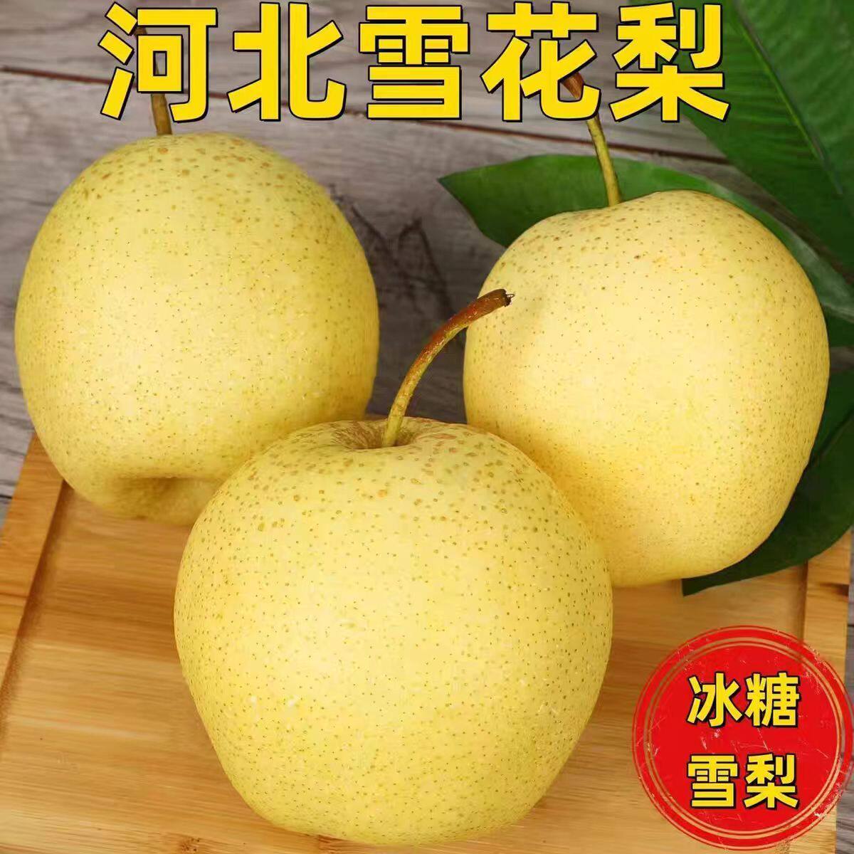 雪花梨赵县新鲜梨包邮雪梨水果新鲜当季梨子新鲜10雪梨整箱包邮