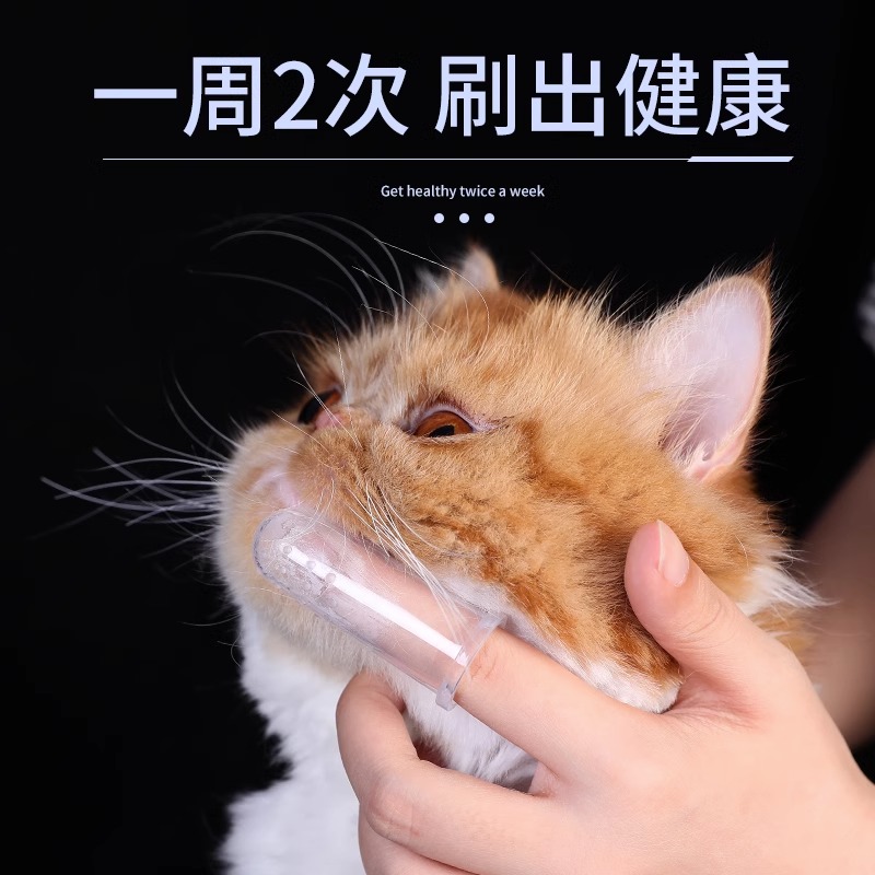 猫咪专用狗狗刷牙神器手指套硅胶牙刷牙膏套装宠物牙具清洁用品 - 图1