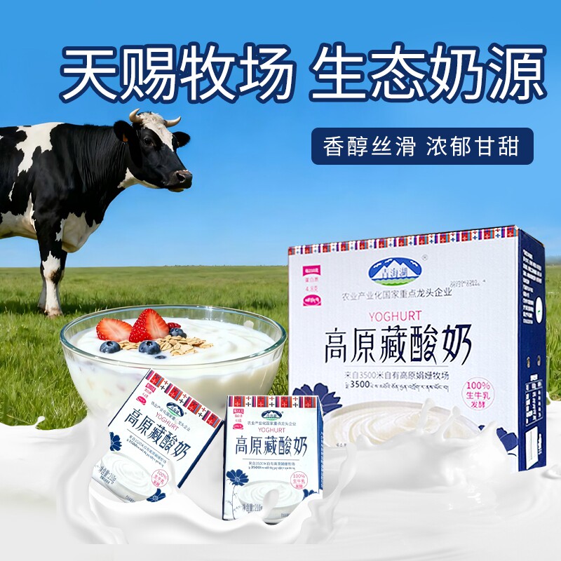 高原藏酸奶青海湖常温自然风味发酵乳210克*10盒