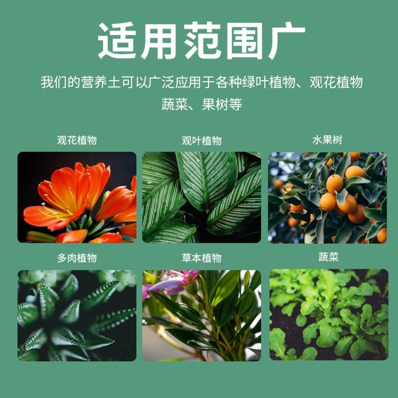 营养土养花种菜专用土多肉盆栽通用型种植土土壤花土肥料发酵育苗 - 图1