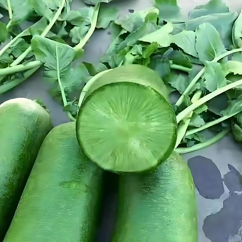 山东潍坊萝卜正宗水果萝卜脆甜不辣可生吃青萝卜新鲜现挖自种蔬菜,淘宝优惠券,粉丝福利购,淘宝优惠卷