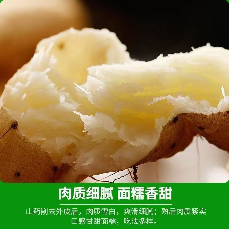 Fresh iron rod yam, small white mouth yam, iron rod yam, fresh yam, slight earthy powder, waxy and sweet, straight hair