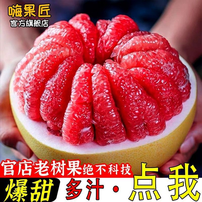 福建红心蜜柚带箱5-6斤装