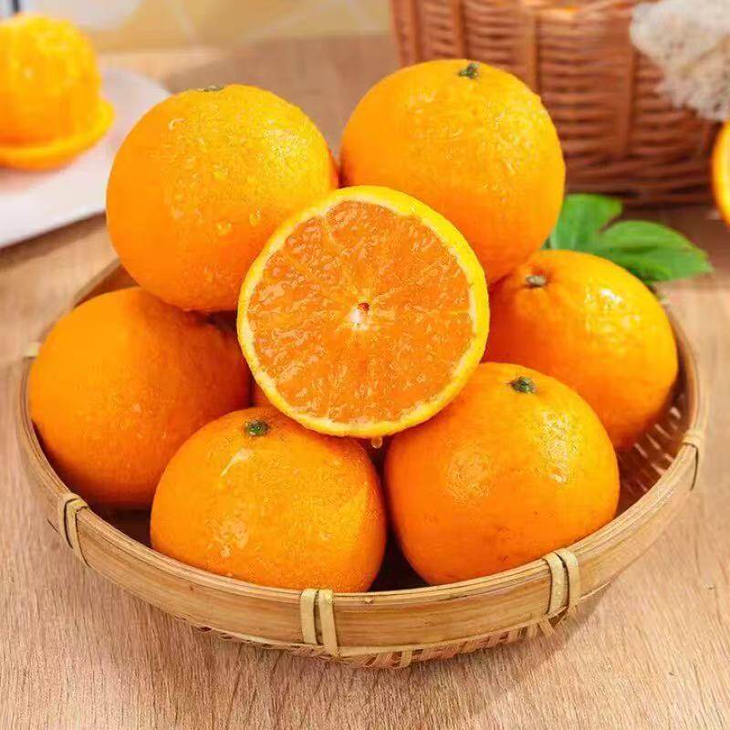 【芭芭农场兑换专享】青见柑3斤70mm+