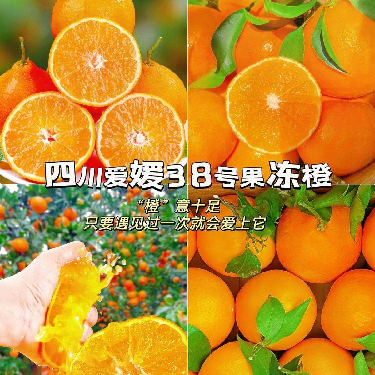 图 5